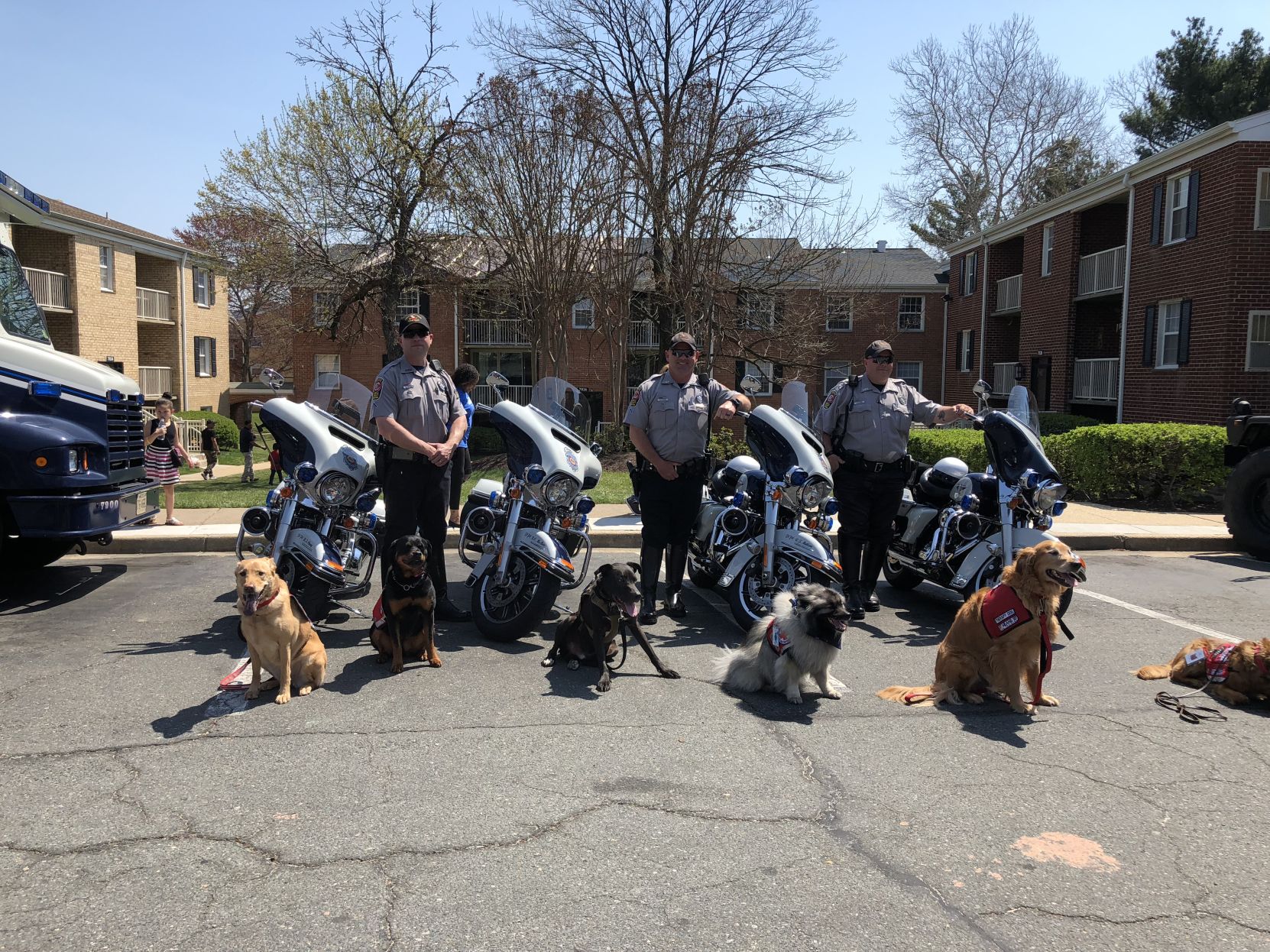 K9 Caring Angels (6).JPG
